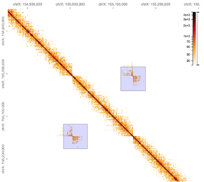 Sample with F8 inversion