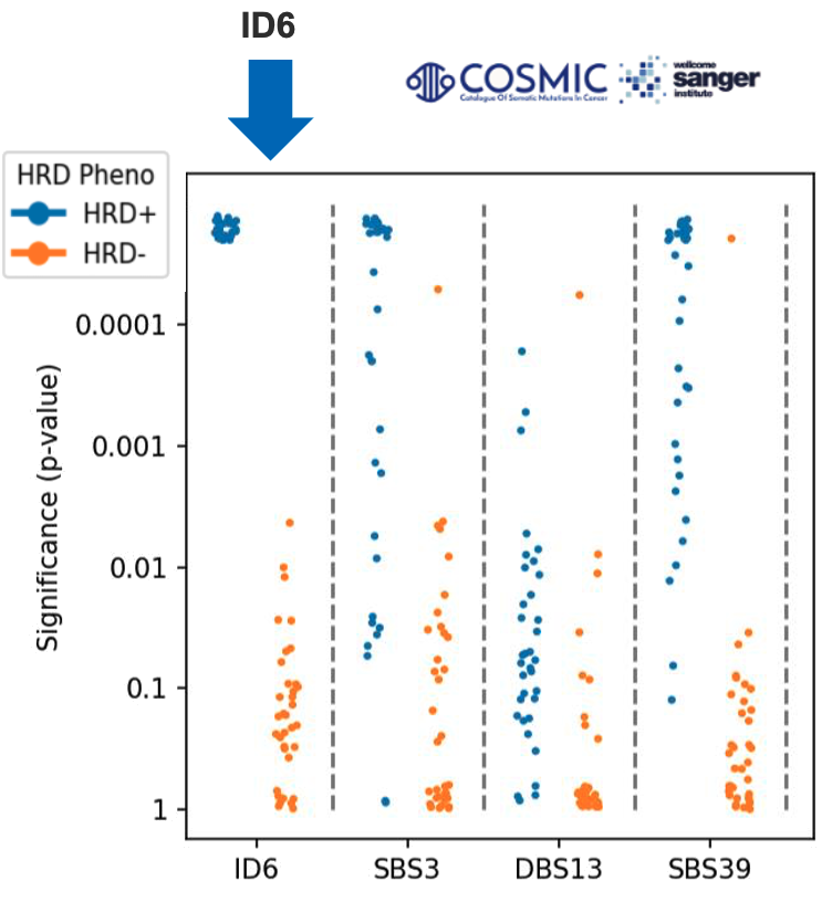 Mutational Signatures